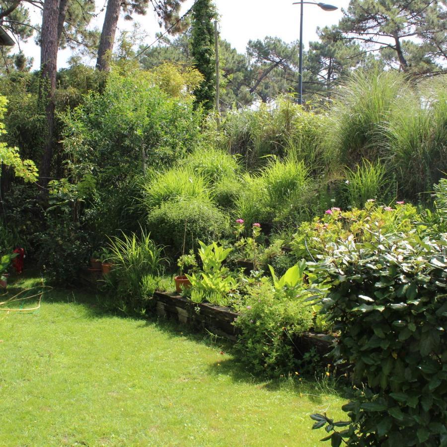 La Maison Face Au Port Lège-Cap-Ferret Eksteriør bilde